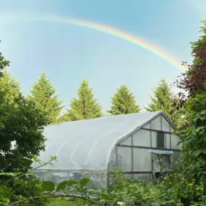 Midsummer Farm Final Rainbow