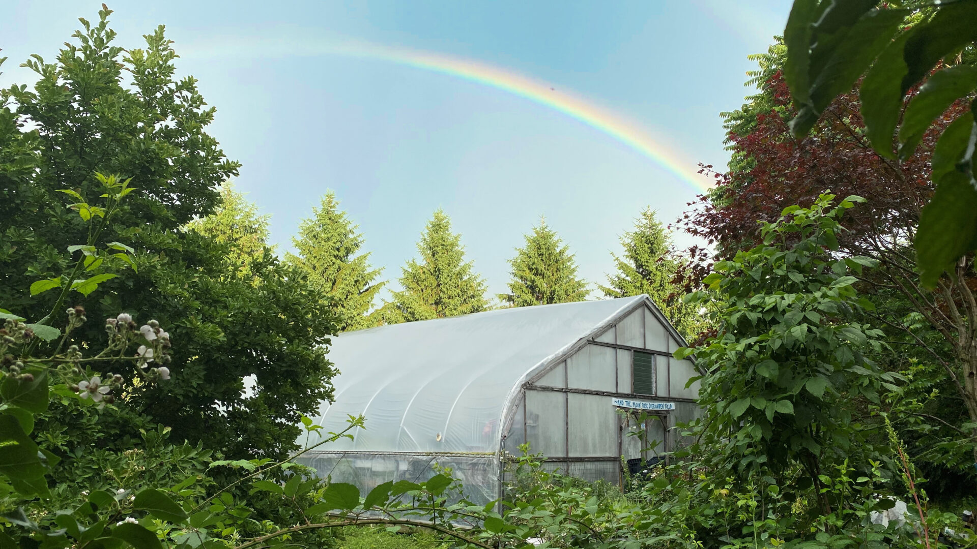 Midsummer Farm Final Rainbow