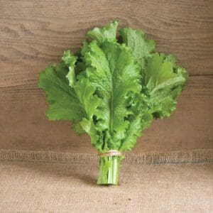 Fresh green lettuce bundle on a wooden surface.