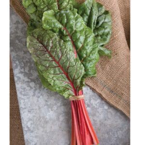 Fresh bunch of Swiss chard with vibrant red stems and green leaves.
