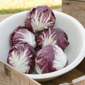Bowl of fresh radicchio heads with vibrant purple and white leaves.