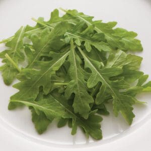 Fresh arugula leaves on a white plate.