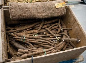 A crate filled with bundled sticks or roots.