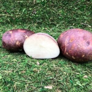 Two purple-skinned potatoes and one cut in half on grass.