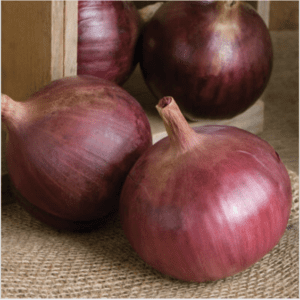 Fresh red onions arranged on a woven mat.