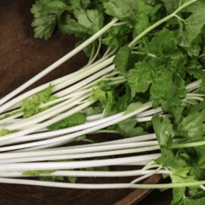 Fresh cilantro bunch with vibrant green leaves and white stems on a wooden surface.