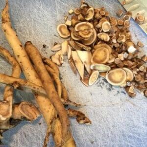 Fresh and dried licorice roots on a light fabric background.