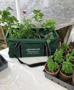 Green plants growing in a reusable garden bag and small pots on a white surface.