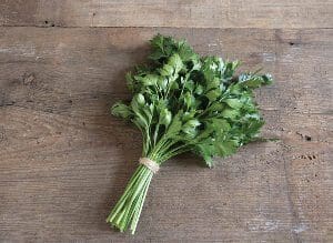 A fresh bunch of green parsley tied with a string on a wooden surface.