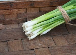 A bunch of fresh green onions tied with a string on a woven surface.