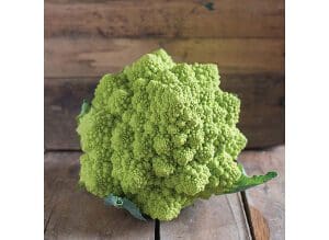 A green Romanesco broccoli with a wooden background.
