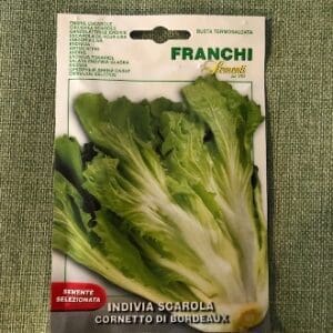 Package of Franchi Indivia Scarola seeds for growing escarole lettuce.
