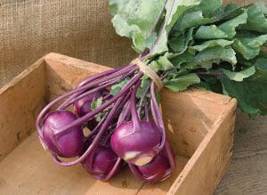 Fresh purple kohlrabi with green leaves in a wooden crate.