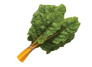 Fresh green Swiss chard leaves with vibrant orange stems.