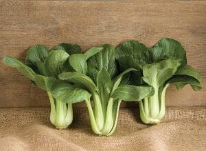 Fresh bok choy heads arranged on a burlap cloth.