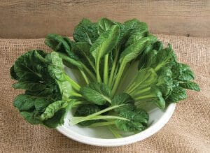 Fresh green leafy vegetables arranged on a white plate.