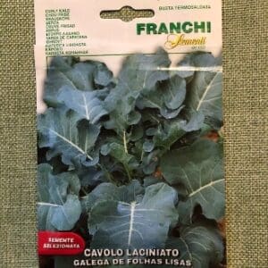 Packet of Cavolo Lacinato kale seeds with fresh kale image.
