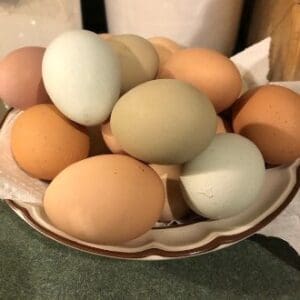 A bowl filled with various colored fresh eggs.