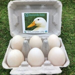 Carton of six large white duck eggs on grass.