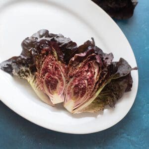 Grilled radicchio halves served on a white plate.