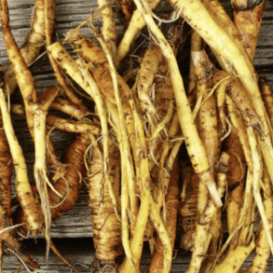 Close-up of dried ginseng roots piled together.