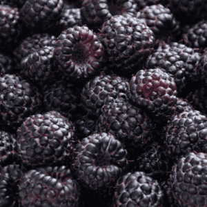 Close-up of fresh, ripe blackberries clustered together.