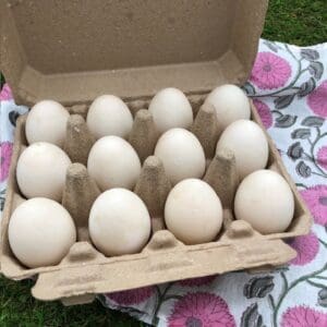 A dozen white eggs neatly arranged in a brown carton on a floral tablecloth.