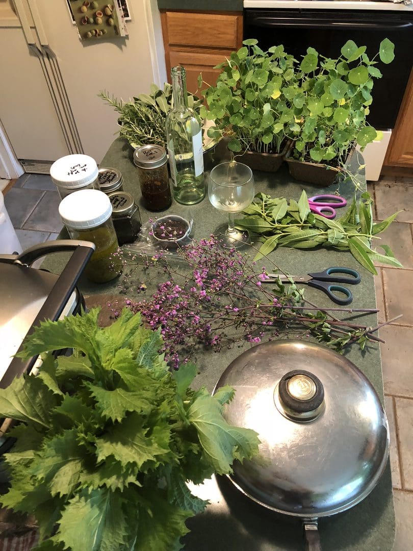 Fresh herbs and greens prepared on a kitchen counter for cooking.