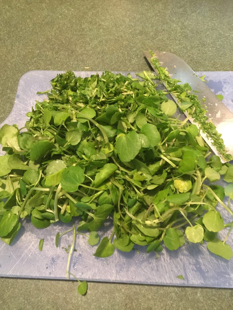 Fresh green watercress leaves on a cutting board with a knife.