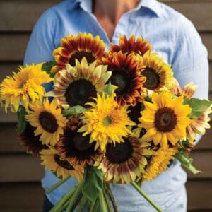 Person holding a vibrant bouquet of sunflowers and orange flowers.