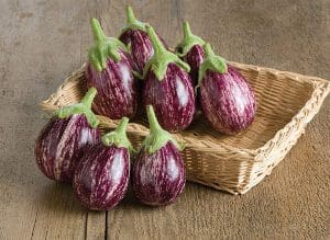 Fresh purple and white striped eggplants in a basket.