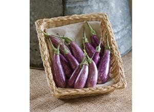 Basket of fresh Japanese eggplants with green stems.