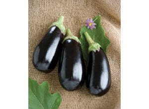 Three fresh eggplants with green caps on a burlap surface.
