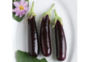 Three glossy purple eggplants on a white surface with green leaves.