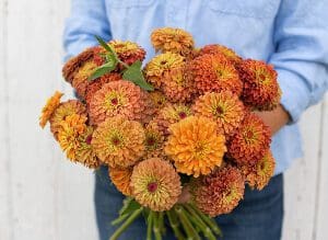 A person holding a vibrant bouquet of orange and yellow flowers.