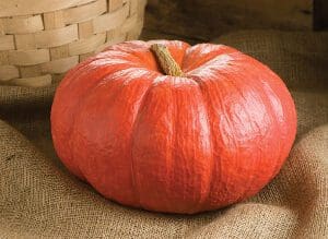 A plump, bright orange pumpkin resting on a burlap surface.