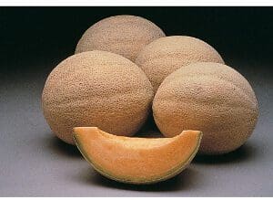 Four cantaloupes with one sliced to show orange flesh.