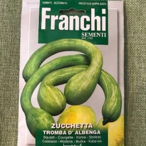 Packet of Franchi Sementi zucchini and yellow squash seeds.