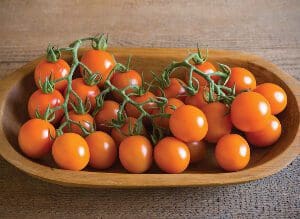 Bright orange cherry tomatoes on the vine in a wooden bowl.