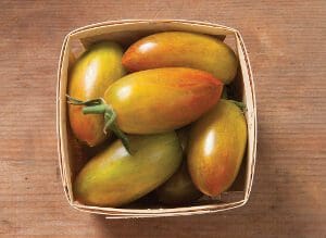 A basket of ripe and unripe plum tomatoes on a wooden surface.