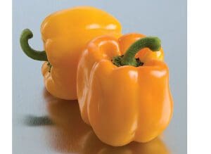 Two fresh yellow bell peppers on a reflective surface.