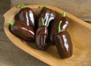 Shiny brown peppers with green stems arranged on a wooden plate.