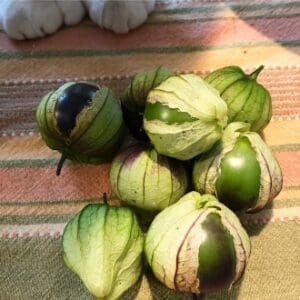 A group of striped green and white tomatillos on a cloth surface.