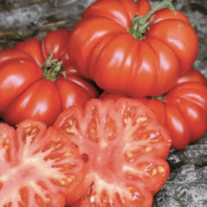 Ripe heirloom tomatoes with a glossy finish, some sliced to reveal juicy interiors.