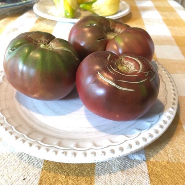 Tomato - Cherokee Purple (3.25" pot) - Image 2