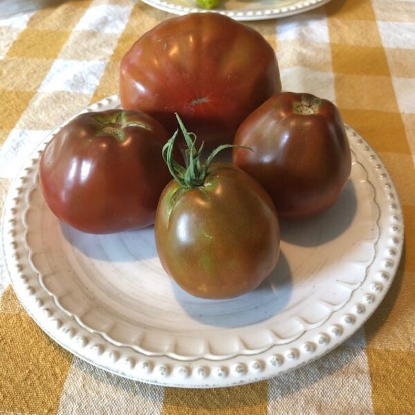 Tomato - Japanese Black Trifele (3.25" pot) - Image 2