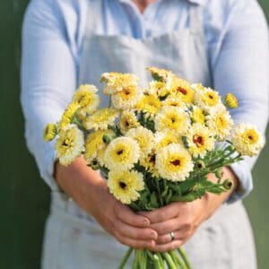 Person holding a bouquet of yellow flowers.