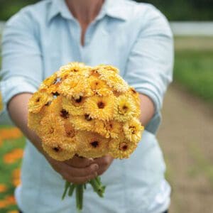Person holding a bright yellow flower bouquet.
