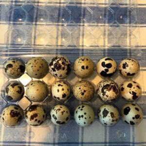 A collection of speckled quail eggs arranged in a grid.