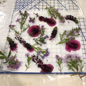 Pressed purple and pink flowers arranged on a grid background.
